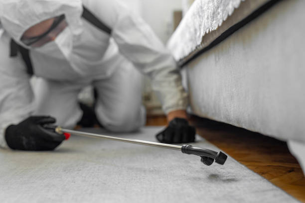 Professional Cockroach Control technician working in San Pasqual, CA